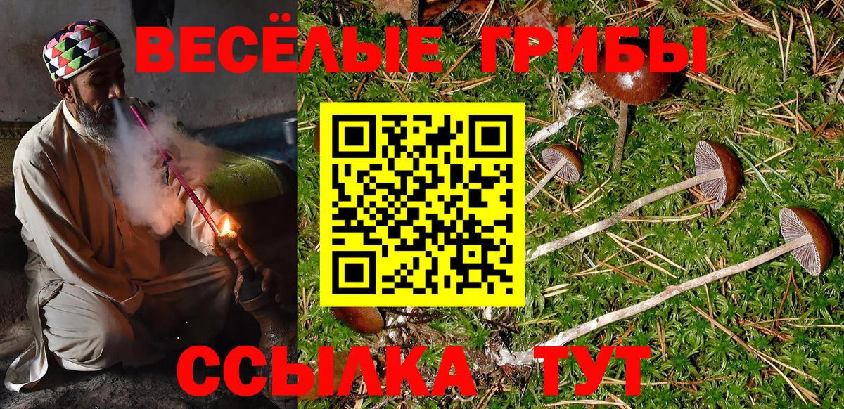 Псилоцибиновые грибы Cubensis  продажа наркотиков  Вход с VPN  Сыктывкар  Псилоцибиновые грибы GOLDEN TEACHER 
