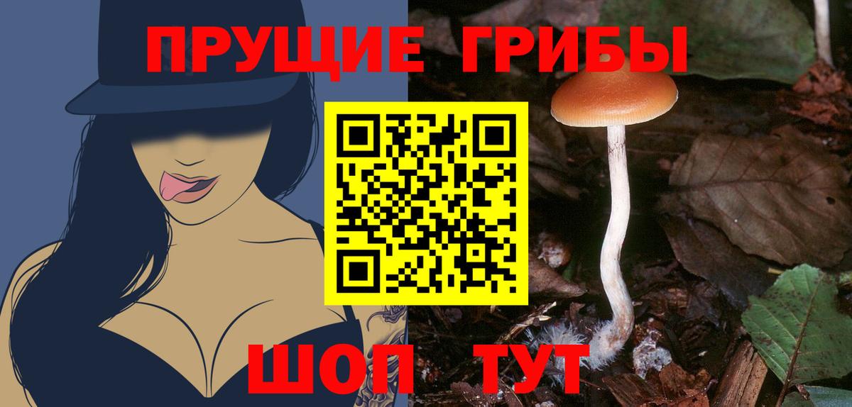 Псилоцибиновые грибы GOLDEN TEACHER Сыктывкар